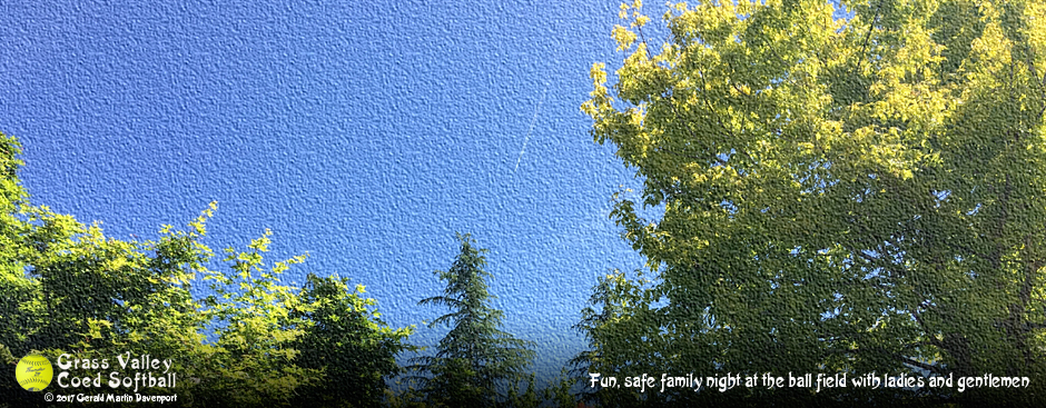 Blue sky with trees and an airplane condensation trail that naturally forms when conditions are right.
